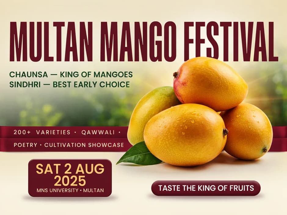 Multan Mango Festival 2025 poster